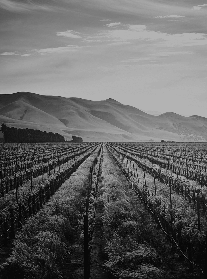 agriculture-Increasing-efficiency
