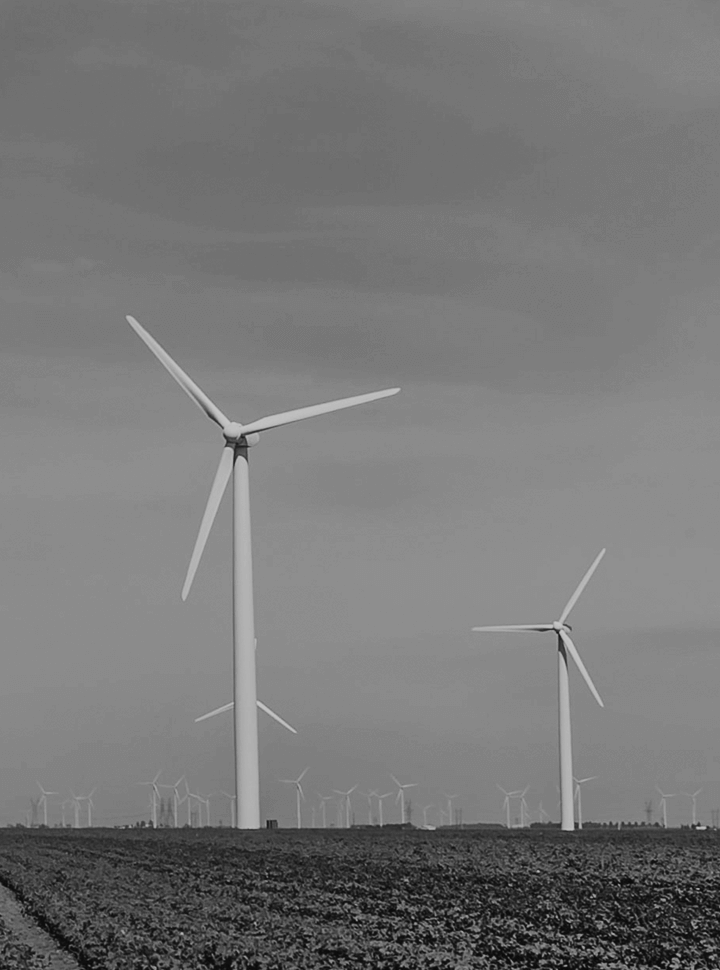 agriculture-environmentally-responsible