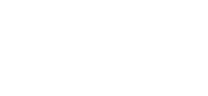 MSStartups_wordmark-RegularVertical-white